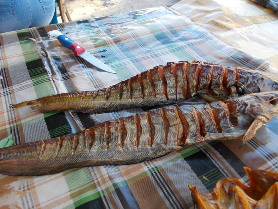 yamy - 1005299442918009148409838704600n.jpg